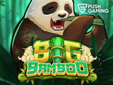 Bingo casino no deposit bonus16